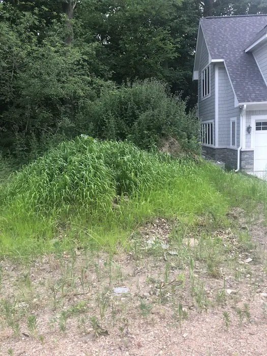 S & T Lawn Services Inc Picture 2