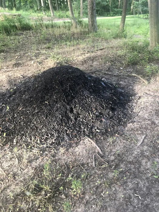 S & T Lawn Services Inc Picture 9