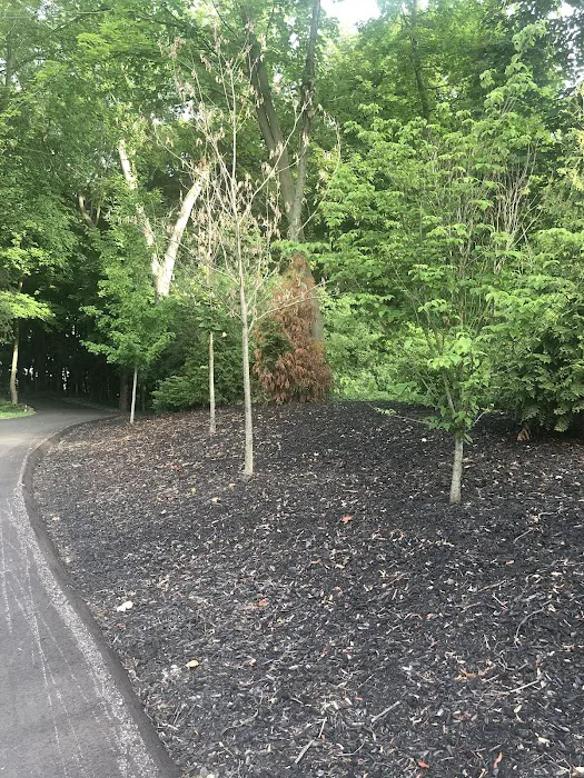S & T Lawn Services Inc Picture 10