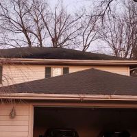 Needhams Leaf & Lawn Services LLC ico