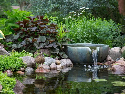 Great Lakes Pondscapes Picture 4