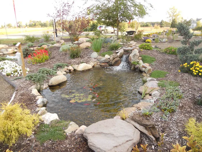 Great Lakes Pondscapes Picture 9
