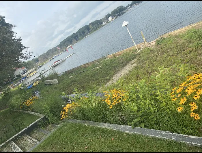 Ripmaster Lawn Care and Landscaping LLC Picture 1