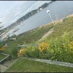 Ripmaster Lawn Care and Landscaping LLC