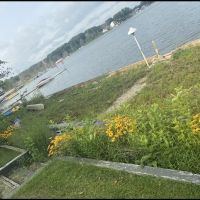 Ripmaster Lawn Care and Landscaping LLC ico
