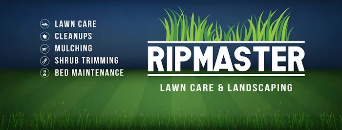 Ripmaster Lawn Care and Landscaping LLC Picture 5