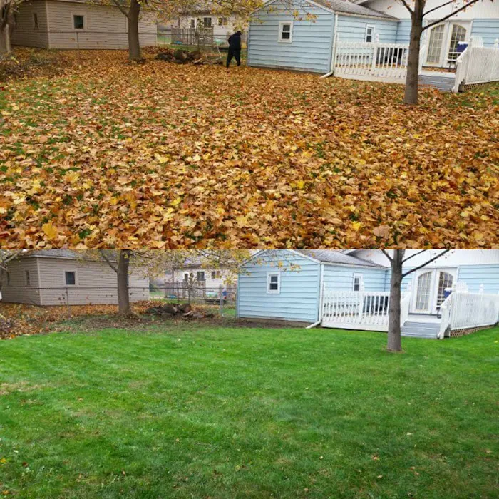 All Pro Lawn Care Picture 5