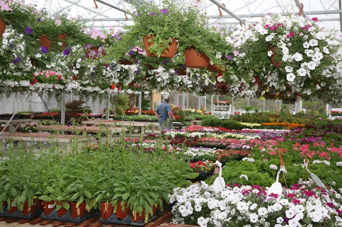 Romence Gardens, Inc. Picture 2