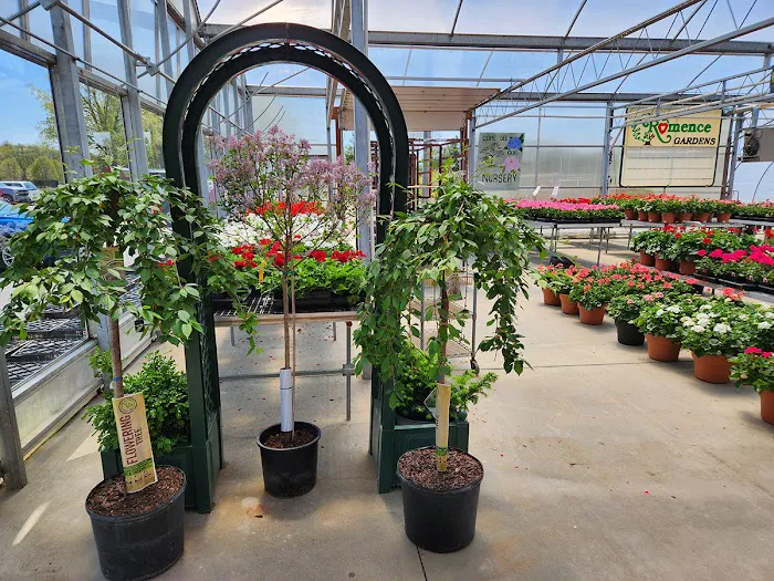 Romence Gardens, Inc. Picture 4