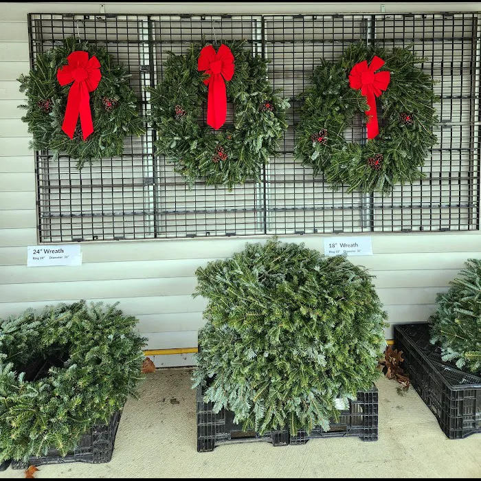 Romence Gardens, Inc. Picture 9