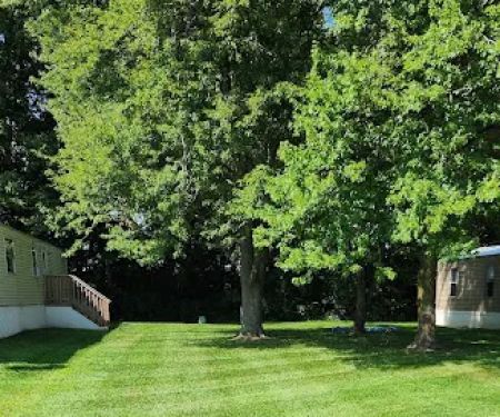 Callahan Lawn Care