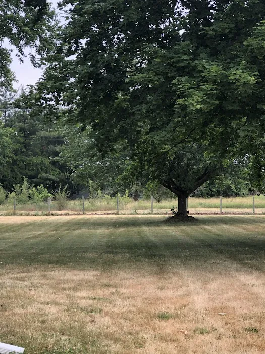 Groff's lawn care Picture 7