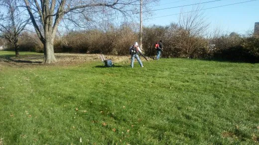 C&N Lawn Care Picture 9