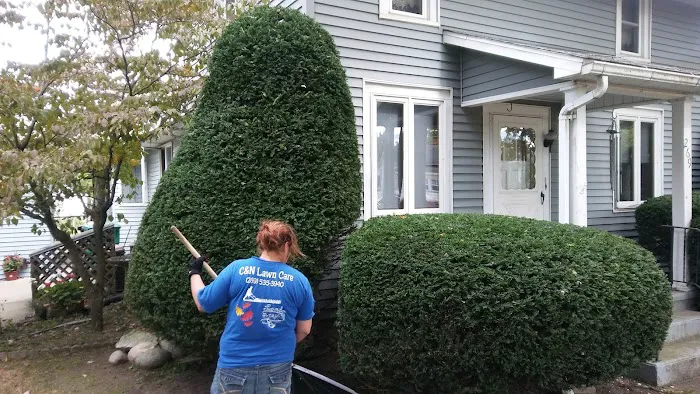 C&N Lawn Care Picture 4