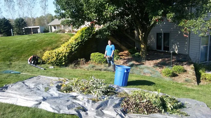 C&N Lawn Care Picture 3