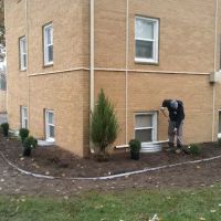 C&N Lawn Care ico