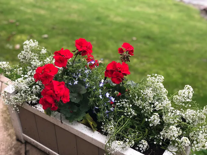 Miracle’s Lawn Service & Landscape Supply Picture 5