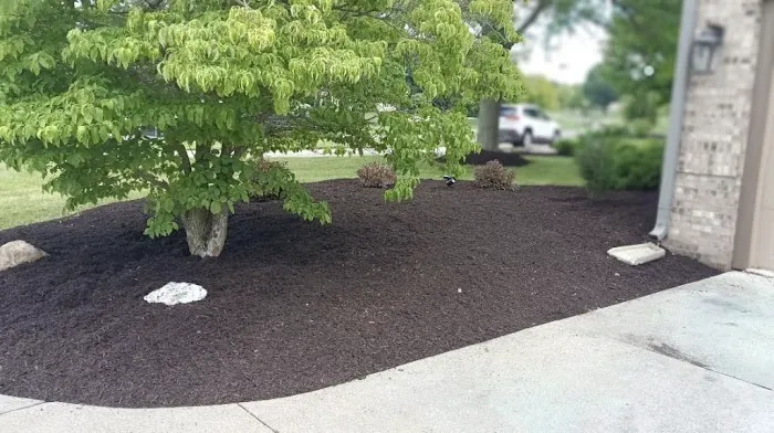 Holbrook Lawnscape Picture 4