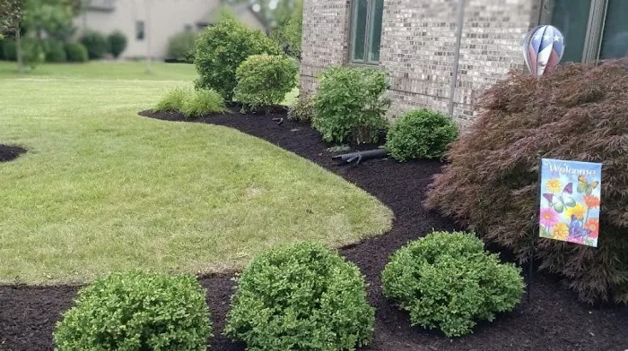 Holbrook Lawnscape Picture 3