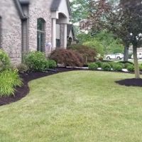Holbrook Lawnscape ico