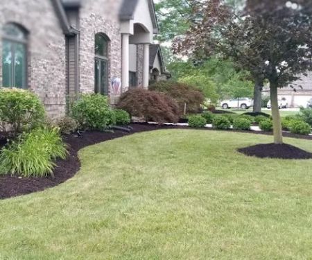 Holbrook Lawnscape