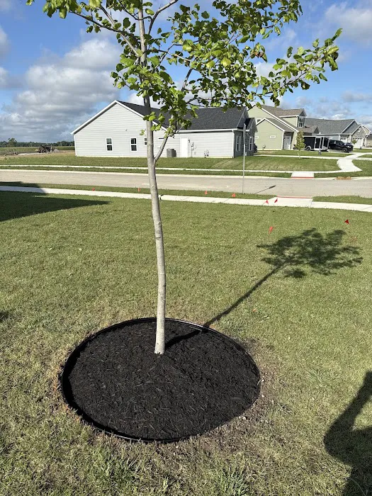 Holbrook Lawnscape Picture 5