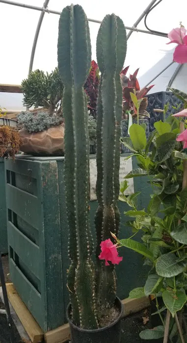 Lawnscape Garden Center Picture 1