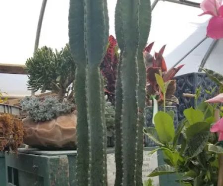 Lawnscape Garden Center