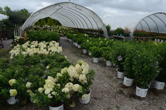 Lawnscape Garden Center Picture 5