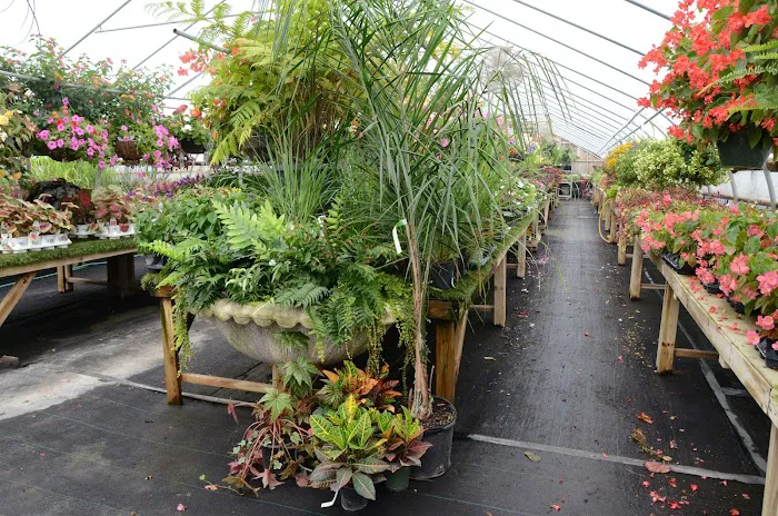 Lawnscape Garden Center Picture 8