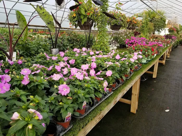 Lawnscape Garden Center Picture 9