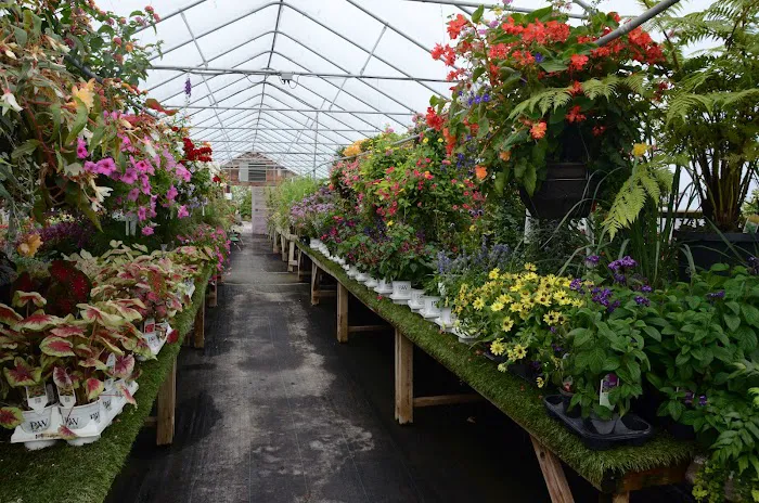 Lawnscape Garden Center Picture 10