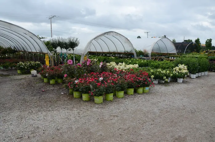 Lawnscape Garden Center Picture 7