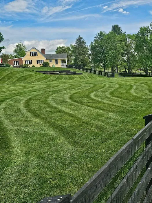 All Lawn Care Service & landscaping LLC Picture 4
