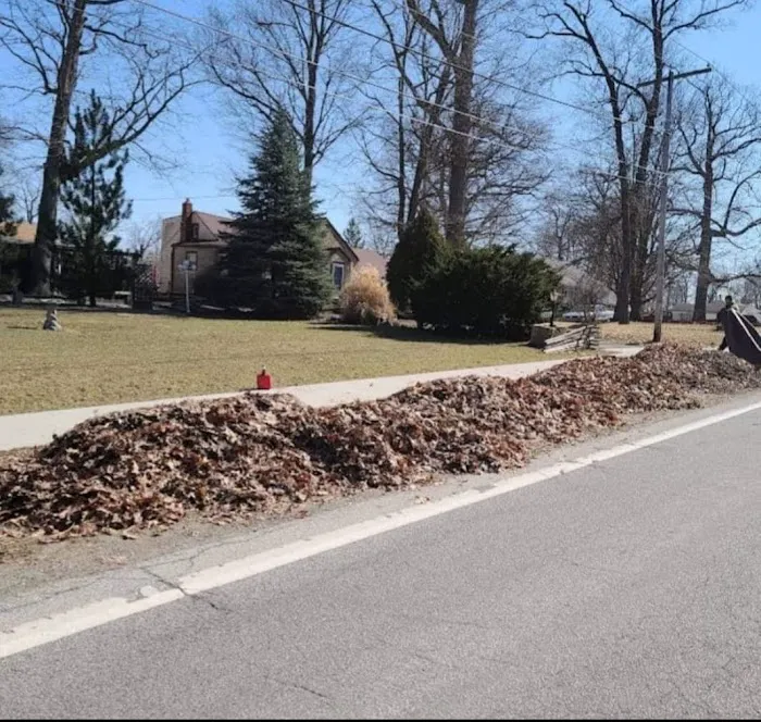 All Lawn Care Service & landscaping LLC Picture 2