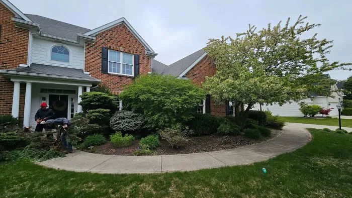 All Lawn Care Service & landscaping LLC Picture 6