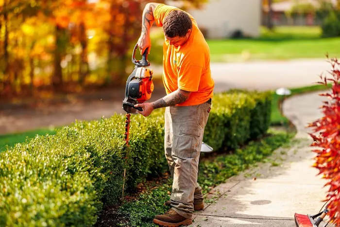 Professional Maintenance and Landscaping Picture 9