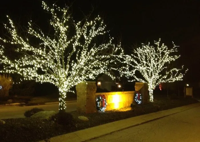 Professional Maintenance and Landscaping Picture 1