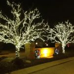 Professional Maintenance and Landscaping