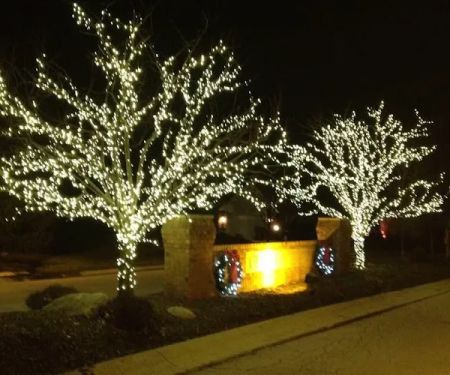 Professional Maintenance and Landscaping