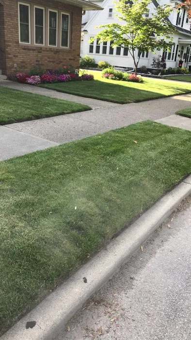 Ludwig Lawn Care Picture 7
