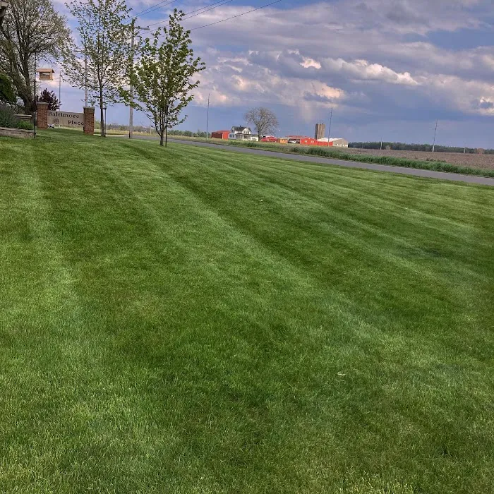 Ludwig Lawn Care Picture 8