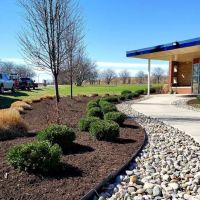 Divine Landscape Design ico