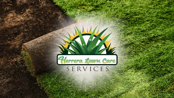 Herrera Lawn Care Service Picture 2