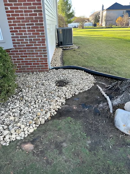 Herrera Lawn Care Service Picture 7