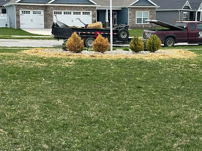 Herrera Lawn Care Service Picture 10