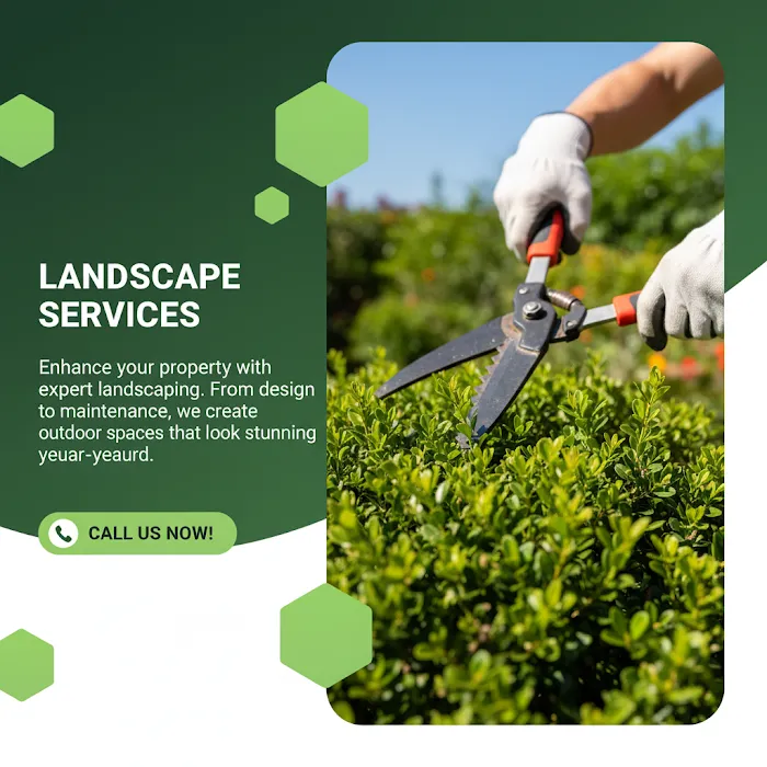 Herrera Lawn Care Service Picture 5
