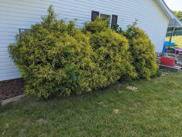 Minnick Lawn and Landscaping LLC Picture 9