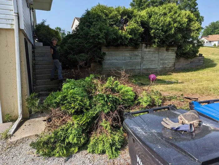 Minnick Lawn and Landscaping LLC Picture 3