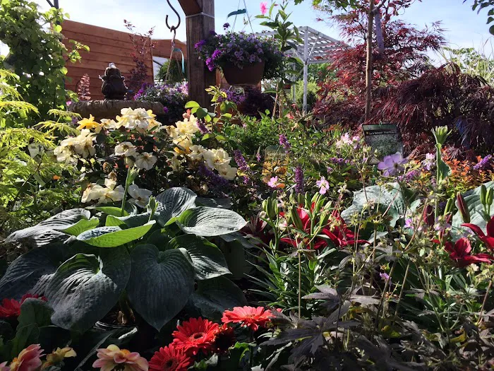 Broadview Landscaping & Nursery, Inc. Picture 8